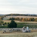 Exploring the Best Wineries and Breweries in Williamson County, Tennessee